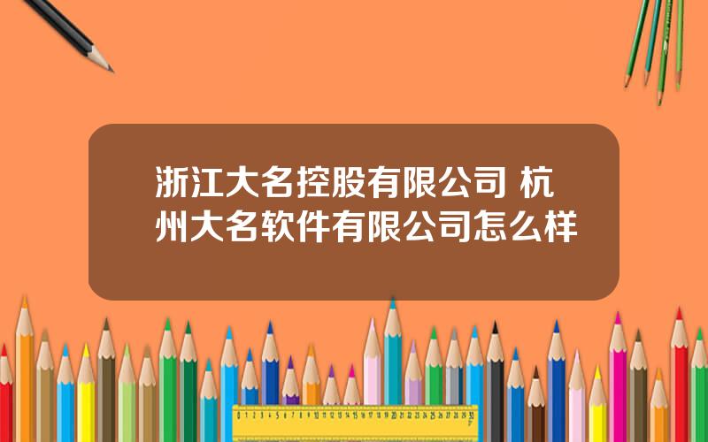 浙江大名控股有限公司 杭州大名软件有限公司怎么样